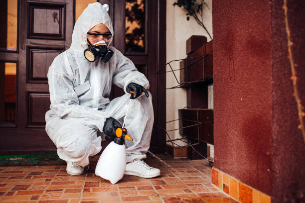 Reliable Ant Control contractor in Quanah, TX by Nex Pest Control
